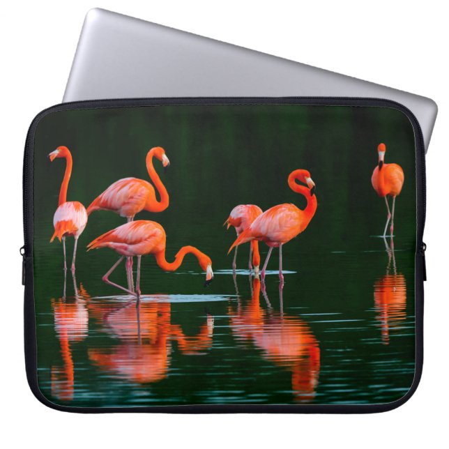 Amerikanische Flamingos mit Reflections Restand Fo Laptopschutzhülle (Vorderseite)