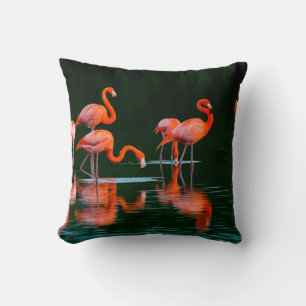 Amerikanische Flamingos mit Spiegelungen Ausruhen Kissen