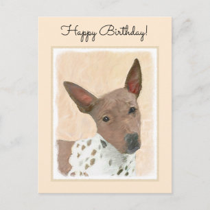 Amerikanische Friseurmalerei - Hundekunst Postkarte