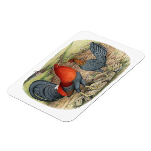 Amerikanische Game Blue Reds Magnet