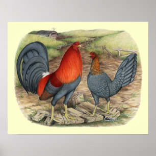 Amerikanische Game Blue Reds Poster