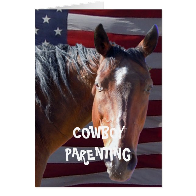 Amerikanische Geschichte - CowboyParenting (Vorne)