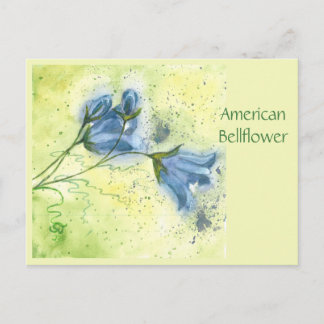 Amerikanische Glockenblume Postkarte