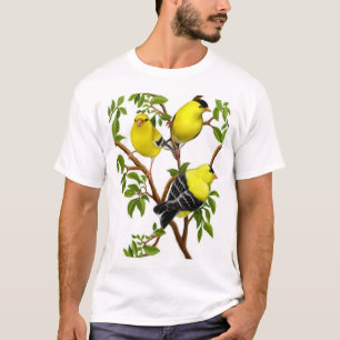 Amerikanische Goldfinches im Rebe-Shirt T-Shirt