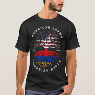 Amerikanische Grossarmenische Wurzeln - armenische T-Shirt