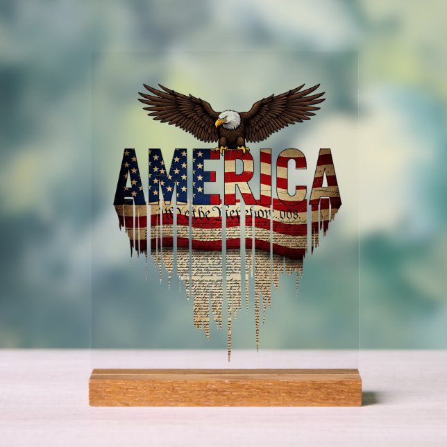 Amerikanische Grunge-Fahne und Adler Acrylschild (Neutral)