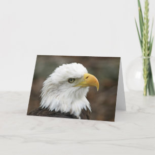Amerikanische Gruß-Karte des Weißkopfseeadler-2 Karte