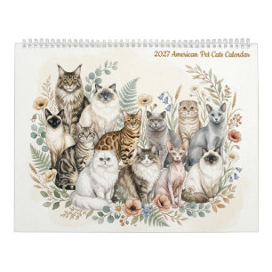 Amerikanische Hauskatzen - Zweiseiten 2027 Kalender