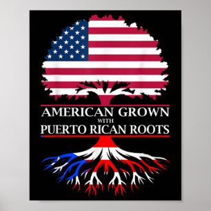Amerikanische Kultur mit puerto-ricanischen Wurzel Poster