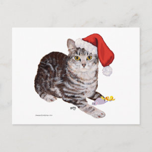 Amerikanische Kurzhaar-Tabby-Katze - Weihnachten
