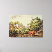 Amerikanische Landschaftsbilder