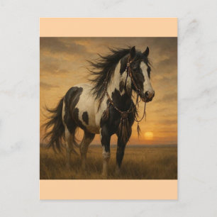 Amerikanische Paint Horse Postcard - Kangee Postkarte