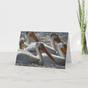 Amerikanische Pelikane Fotografie Blank Karte