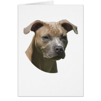 Amerikanische Pitbull-Terrier- (APBT)Karte