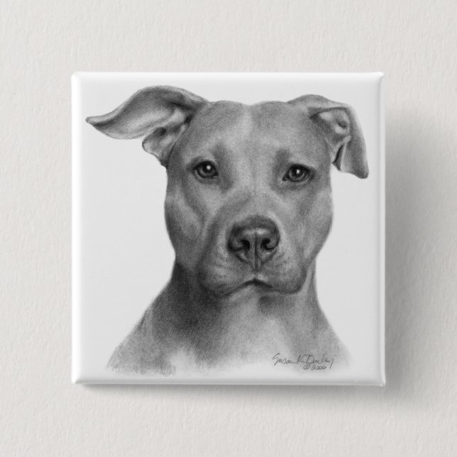 Amerikanische Pitbull Terrier Button (Vorderseite)