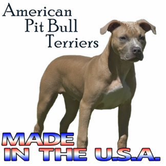 Amerikanische Pitbull-Terrier-Papierskulptur Freistehende Fotoskulptur