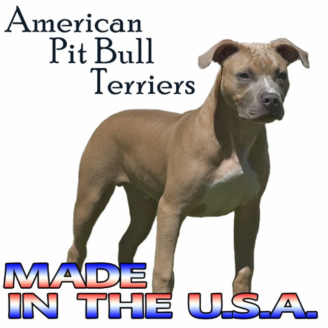 Amerikanische Pitbull-Terrier-Papierskulptur Freistehende Fotoskulptur (Vorne)