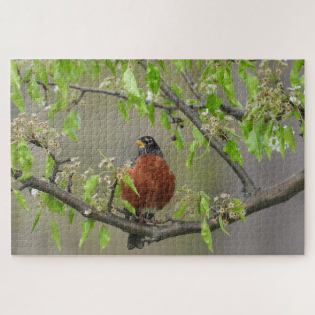 Amerikanische Robin auf Zweig mit Frühlingsblüten Puzzle (Horizontal)