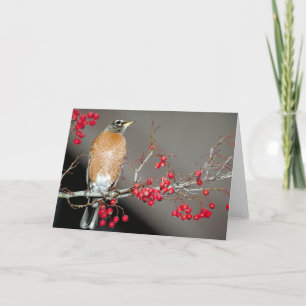 Amerikanische Robin und Rote Berries Karte
