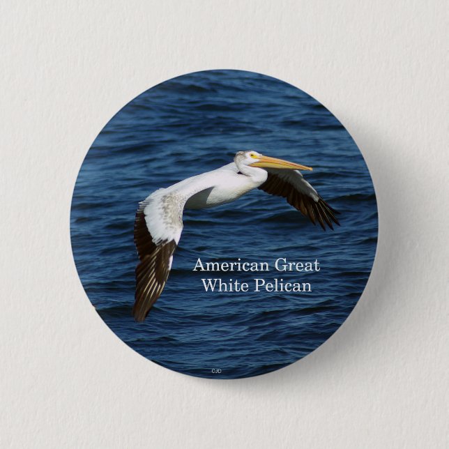 Amerikanische Schaltfläche "Great White Pelican" Button (Vorderseite)
