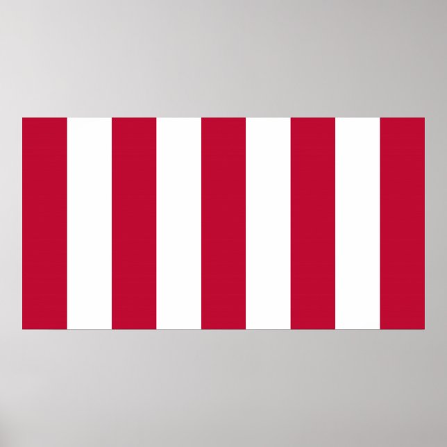 Amerikanische Söhne der Freiheit 9 - Flagge für ve Poster (Vorne)