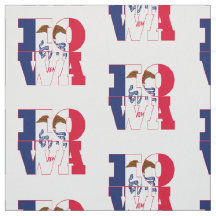 Amerikanische Staatsflagge Iowas