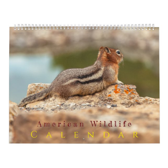 Amerikanische Tierwelt Kalender (Titelbild)