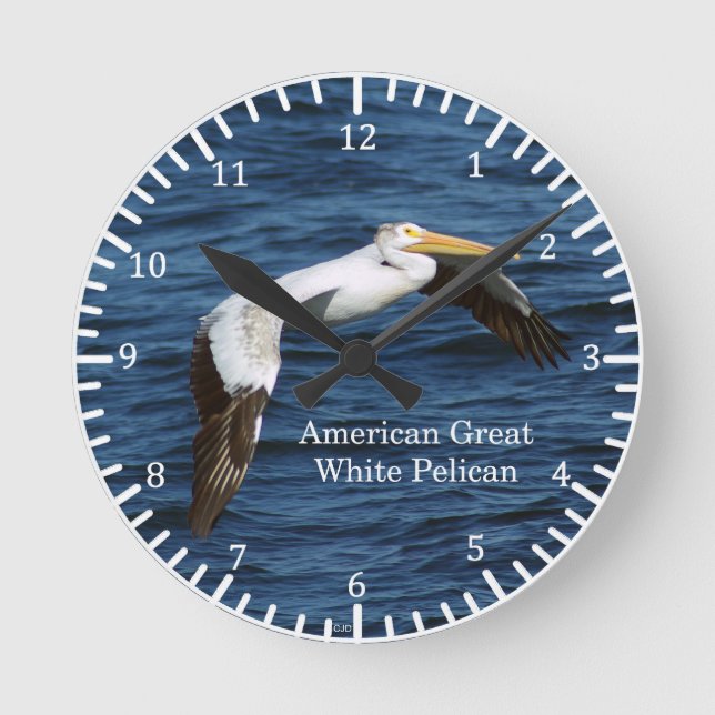 Amerikanische Uhr "Great White Pelican" (Vorderseite)