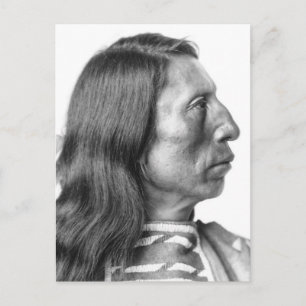 AMERIKANISCHE UREINWOHNER MAN PROFILE Postkarten