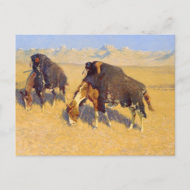 amerikanische Ureinwohner simulieren Buffalo Postkarte (Vorderseite)
