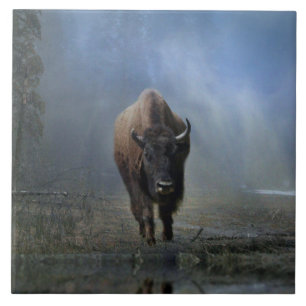 Amerikanische Ureinwohner von Bufallo in der Neben Fliese