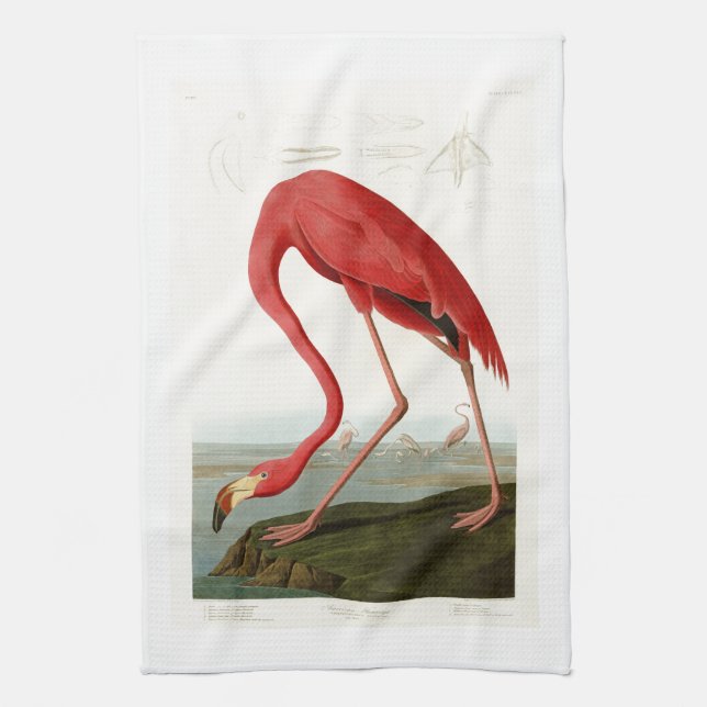 Amerikanische Vögel Flamingo-Johns Audubon von Küchentuch (Vertikal)