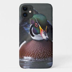 Amerikanische Waldschnatter iPhone 11 Hülle