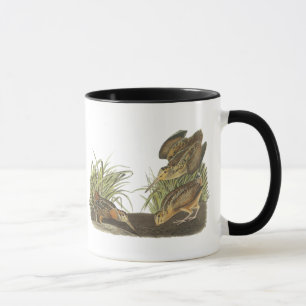 Amerikanische Waldschnepfe, Druck Johns Audubon Tasse