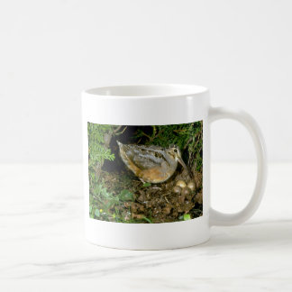 Amerikanische Waldschnepfe mit Eiern Kaffeetasse