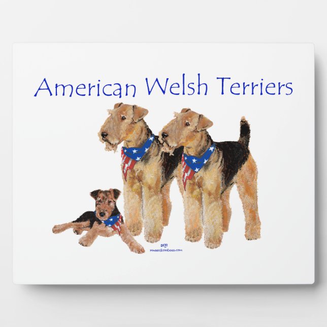 Amerikanische Welsh Terrier Fotoplatte (Vorderseite)