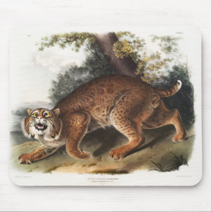 Amerikanische Wildkatze, Lynx Rufus-Deko-Geschenke Mousepad
