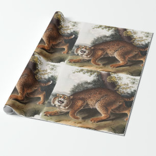 Amerikanische Wildkatze (Lynx Rufus) Illustration Geschenkpapier