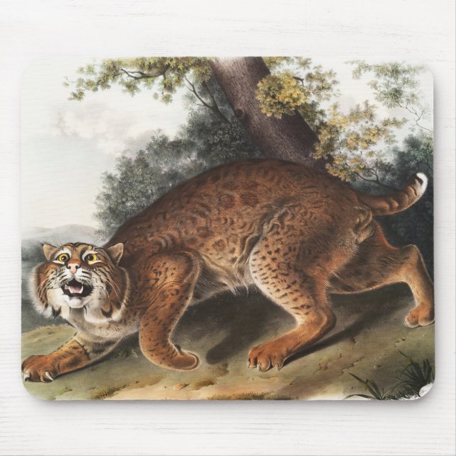 Amerikanische Wildkatze (Lynx Rufus) Illustration Mousepad (Vorne)