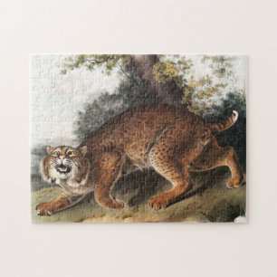 Amerikanische Wildkatze (Lynx Rufus) Illustration Puzzle