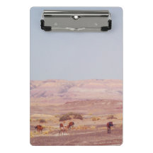 Amerikanische Wüstenpferde P8670