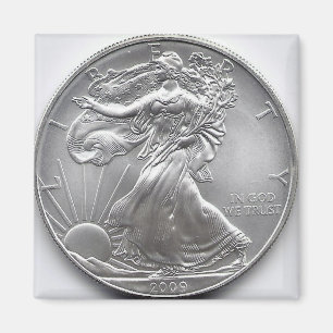 Amerikanischer Adler Magnet