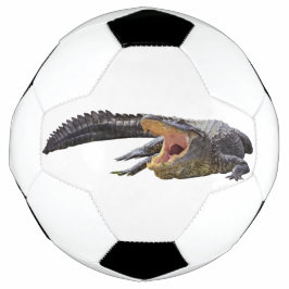 Amerikanischer Alligator - Florida wild lebende Ti Fußball