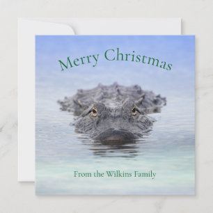 Amerikanischer Alligator – Lake Apopka Wildlife Dr Feiertagskarte
