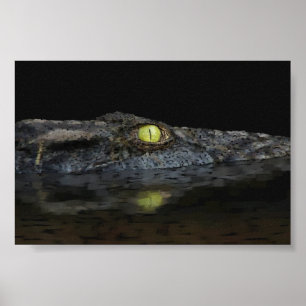 Amerikanischer Alligator Poster