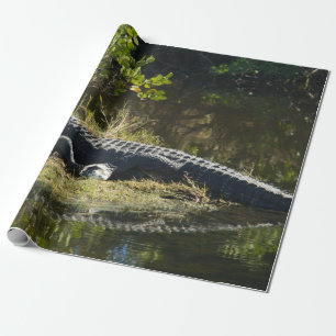 Amerikanischer Alligator ruht auf Feuchtgebiet Nat Geschenkpapier
