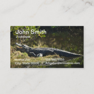 Amerikanischer Alligator ruht auf Feuchtgebiet Nat Visitenkarte