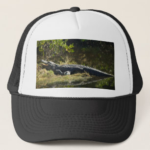 Amerikanischer Alligator ruht sich entlang eines N Truckerkappe