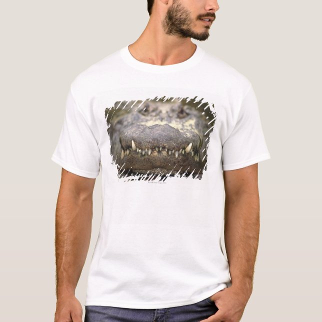 Amerikanischer Alligator T-Shirt (Vorderseite)