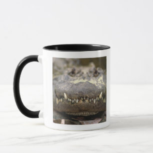 Amerikanischer Alligator Tasse